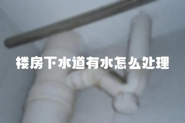 樓房下水道有水怎么處理