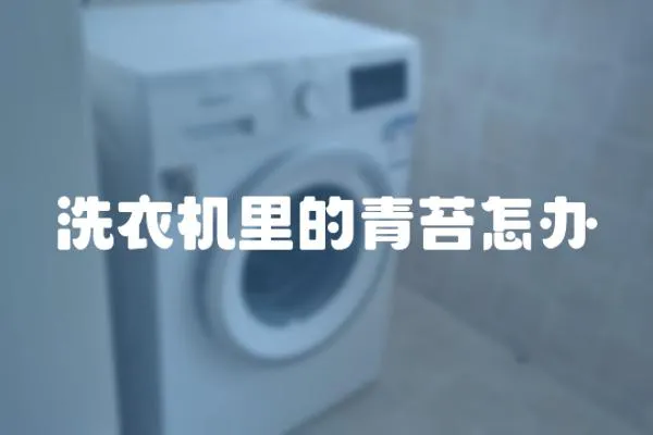 洗衣機里的青苔怎辦