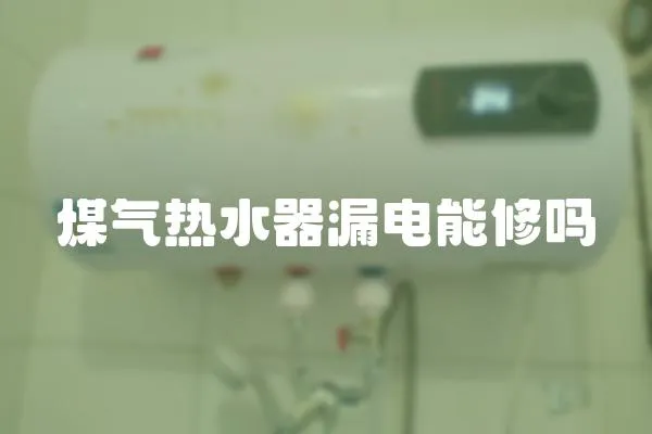 煤氣熱水器漏電能修嗎