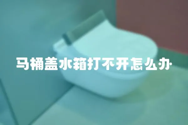 馬桶蓋水箱打不開怎么辦