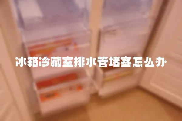 冰箱冷藏室排水管堵塞怎么辦