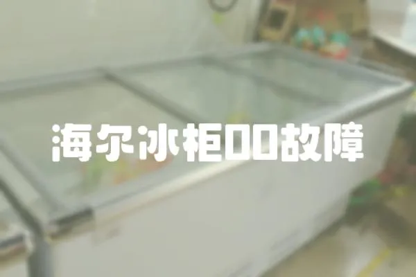海爾冰柜00故障