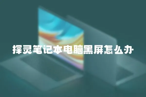 探靈筆記本電腦黑屏怎么辦