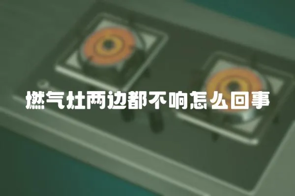 燃?xì)庠顑蛇叾疾豁懺趺椿厥?></a></div>
                    <div   id=