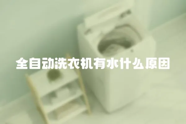 全自動(dòng)洗衣機(jī)有水什么原因
