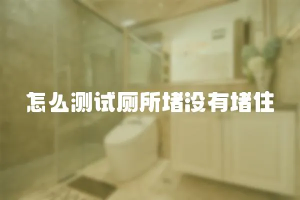 怎么測試廁所堵沒有堵住