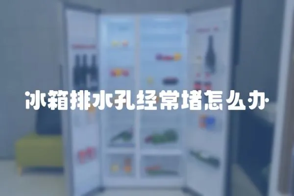 冰箱排水孔經常堵怎么辦