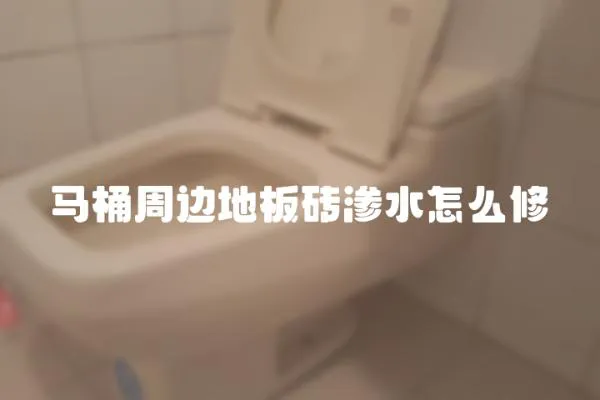 馬桶周邊地板磚滲水怎么修