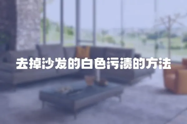 去掉沙發(fā)的白色污漬的方法