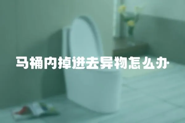 馬桶內掉進去異物怎么辦