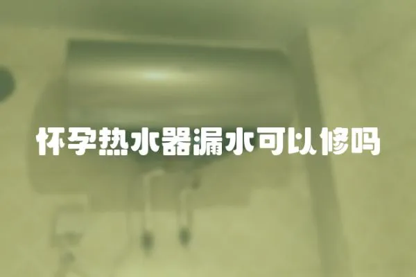 懷孕熱水器漏水可以修嗎
