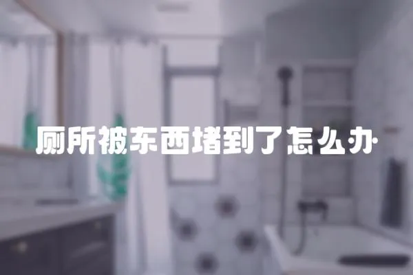 廁所被東西堵到了怎么辦