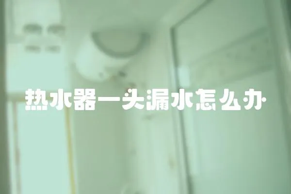 熱水器一頭漏水怎么辦