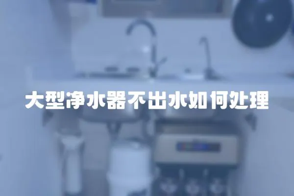 大型凈水器不出水如何處理
