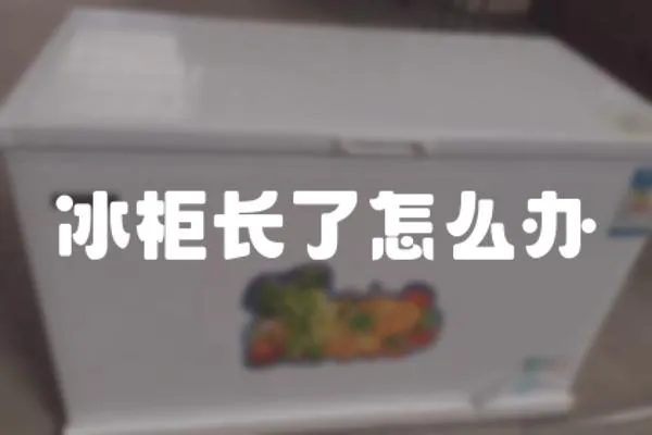 冰柜長了怎么辦