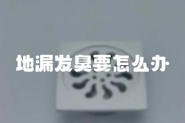 地漏发臭要怎么办