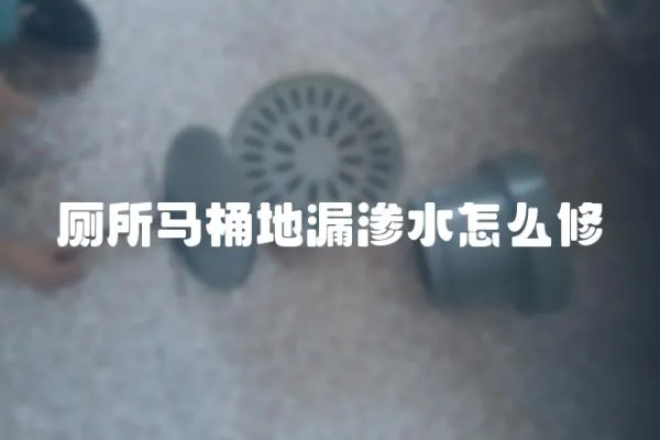 廁所馬桶地漏滲水怎么修