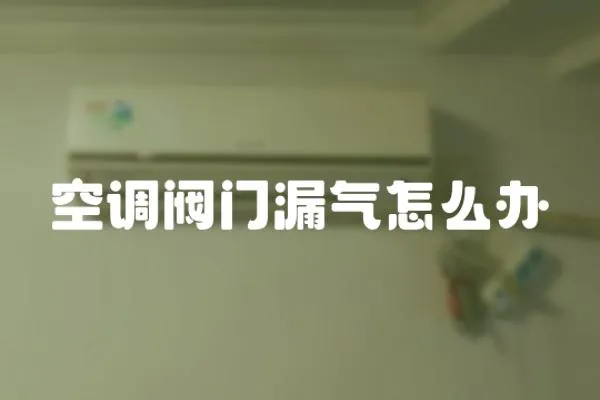 空調閥門漏氣怎么辦