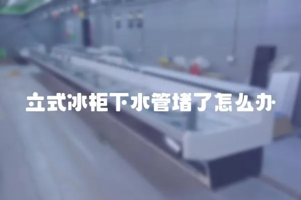 立式冰柜下水管堵了怎么辦