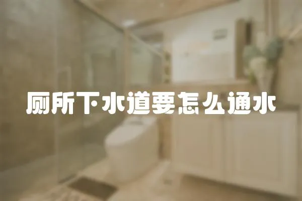 廁所下水道要怎么通水