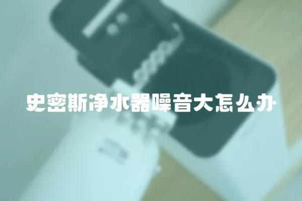史密斯凈水器噪音大怎么辦