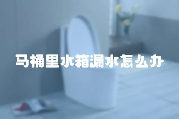 馬桶里水箱漏水怎么辦