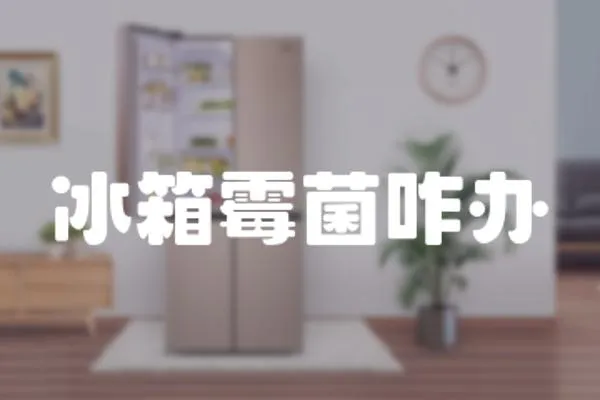 冰箱霉菌咋辦