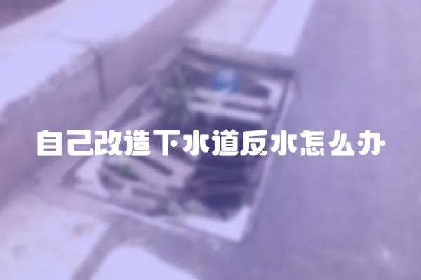 自己改造下水道反水怎么办