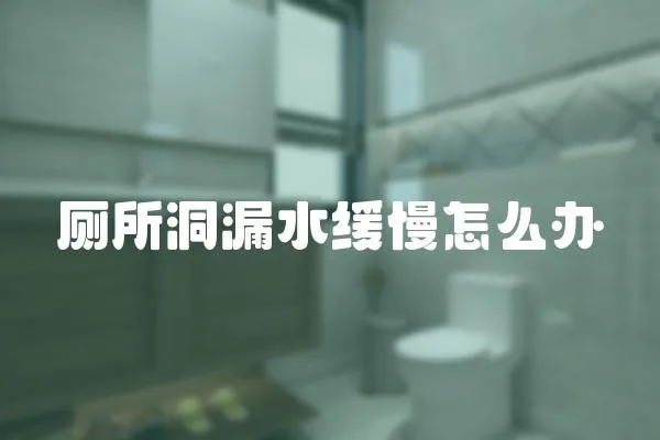 廁所洞漏水緩慢怎么辦
