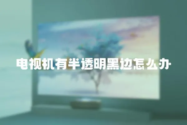 電視機有半透明黑邊怎么辦