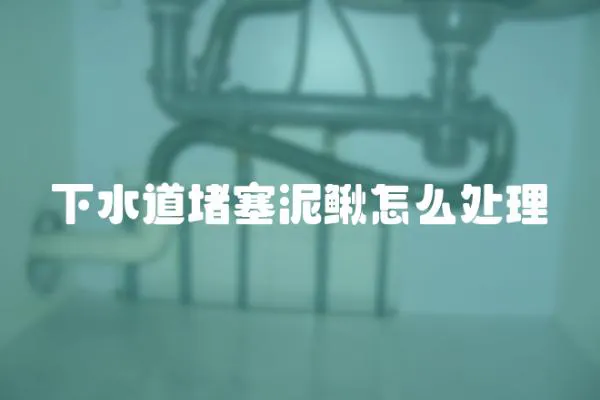 下水道堵塞泥鰍怎么處理