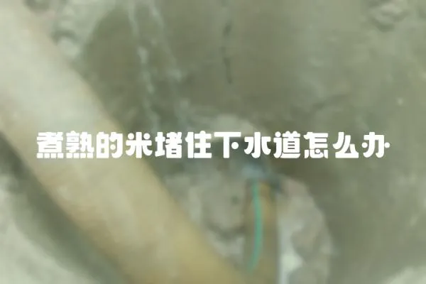 煮熟的米堵住下水道怎么辦