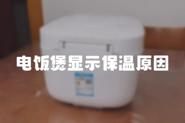 電飯煲顯示保溫原因