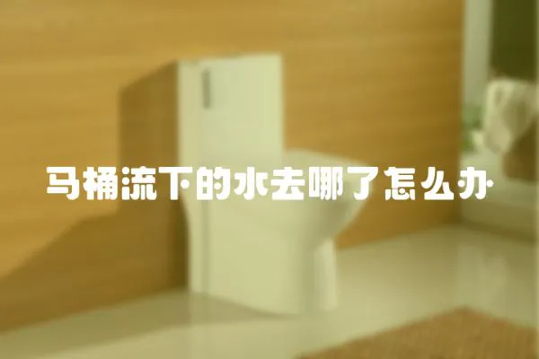 馬桶流下的水去哪了怎么辦