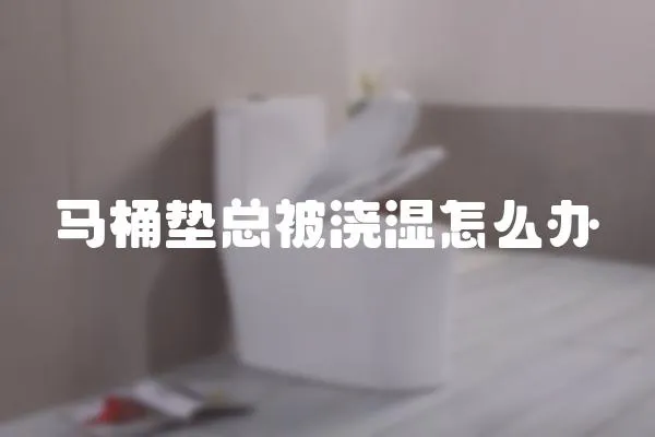馬桶墊總被澆濕怎么辦