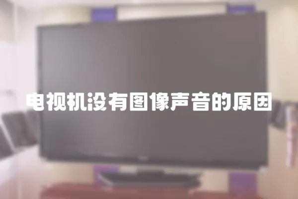 電視機沒有圖像聲音的原因