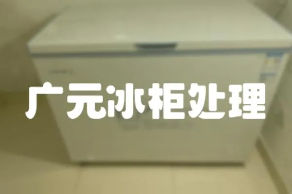 廣元冰柜處理