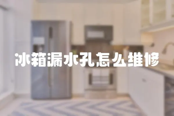 冰箱漏水孔怎么維修