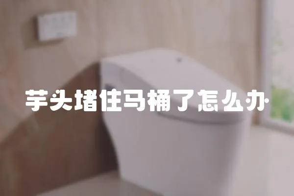 芋頭堵住馬桶了怎么辦