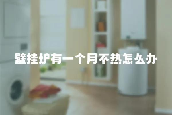 壁掛爐有一個月不熱怎么辦