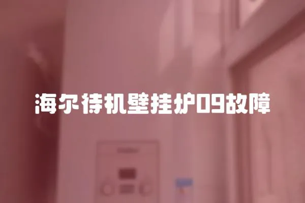 海爾待機壁掛爐09故障