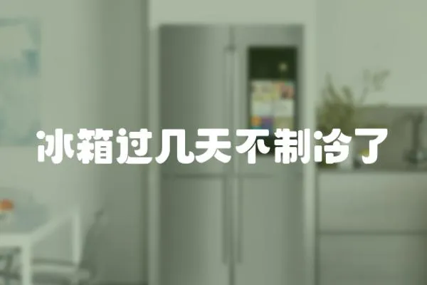 冰箱過幾天不制冷了