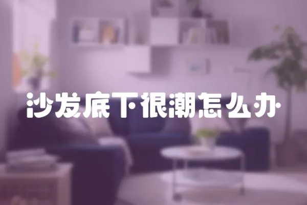 沙發底下很潮怎么辦