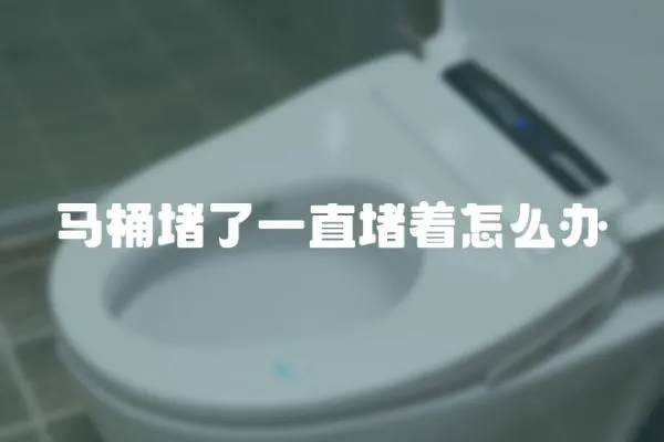 馬桶堵了一直堵著怎么辦