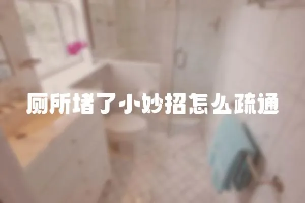 廁所堵了小妙招怎么疏通