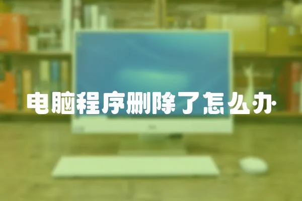 電腦程序刪除了怎么辦