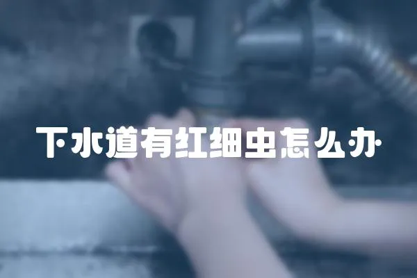 下水道有紅細蟲怎么辦