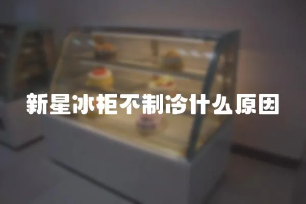 新星冰柜不制冷什么原因
