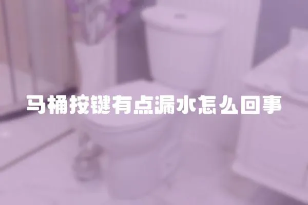 馬桶按鍵有點(diǎn)漏水怎么回事