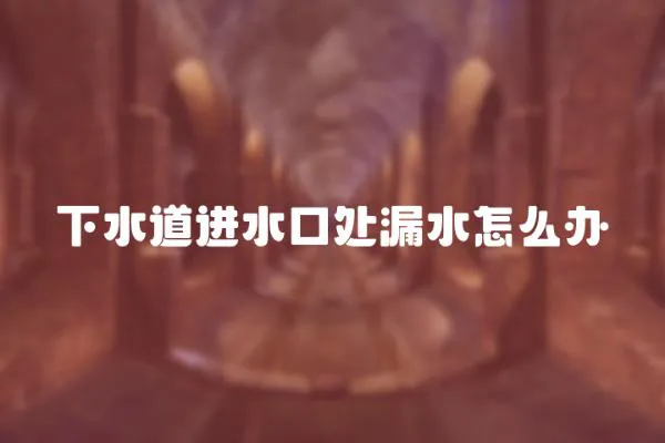 下水道進水口處漏水怎么辦